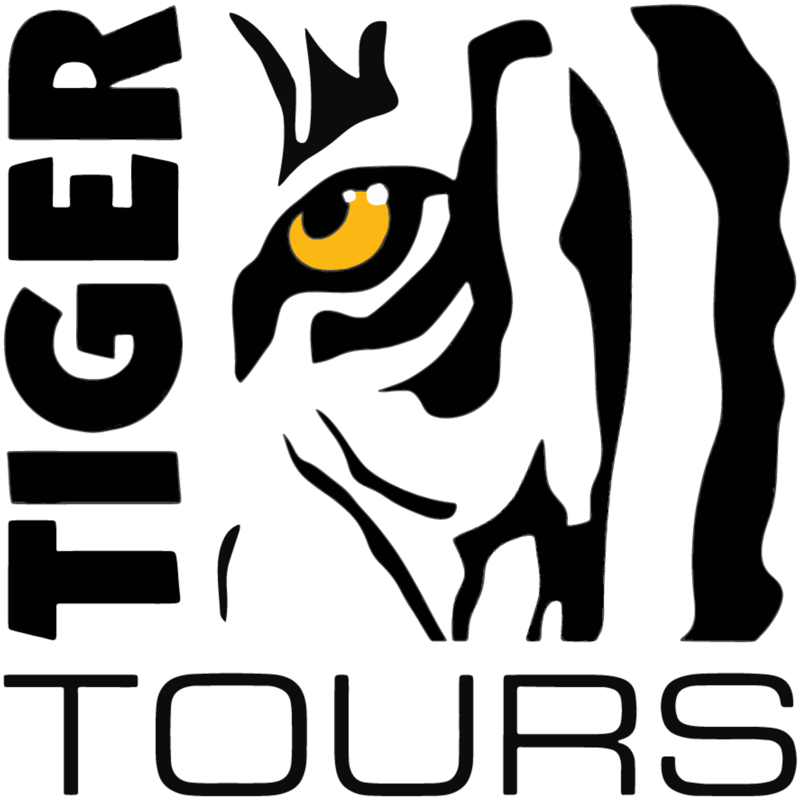 Tiger Tours Limited Logo